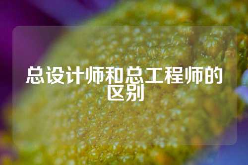 总设计师和总工程师的区别