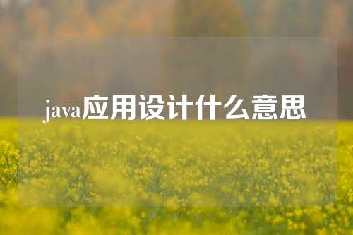 java应用设计什么意思