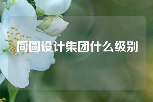 同圆设计集团什么级别