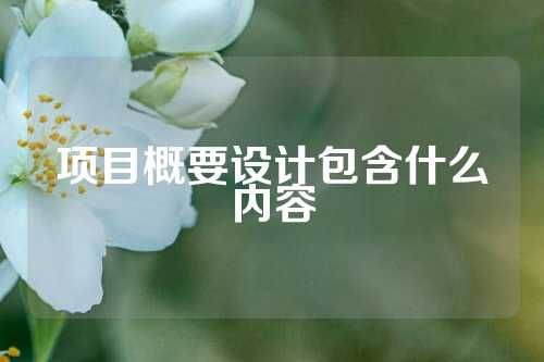 项目概要设计包含什么内容