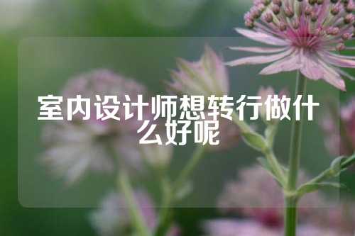 室内设计师想转行做什么好呢