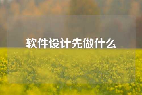 软件设计先做什么