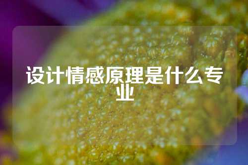 设计情感原理是什么专业