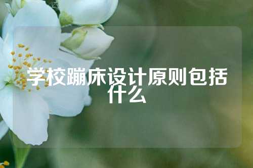 学校蹦床设计原则包括什么