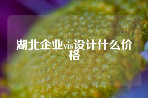 湖北企业vis设计什么价格