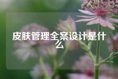 皮肤管理全案设计是什么