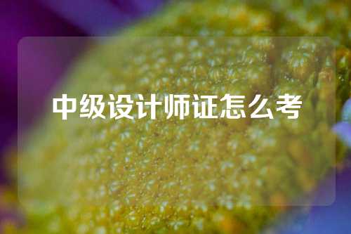 中级设计师证怎么考