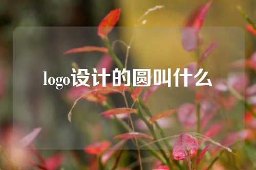 logo设计的圆叫什么