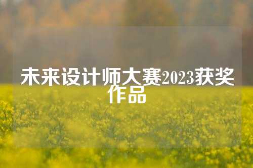 未来设计师大赛2023获奖作品