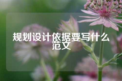 规划设计依据要写什么范文