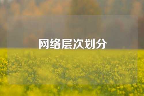 网络层次划分