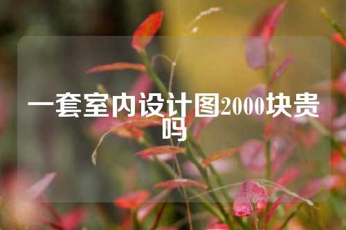 一套室内设计图2000块贵吗