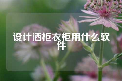 设计酒柜衣柜用什么软件