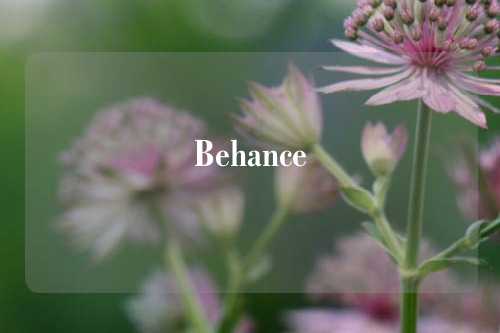 Behance