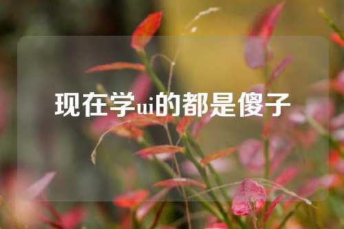 现在学ui的都是傻子