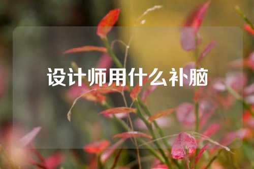 设计师用什么补脑