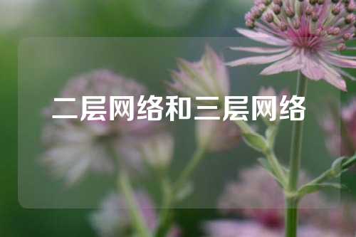 二层网络和三层网络