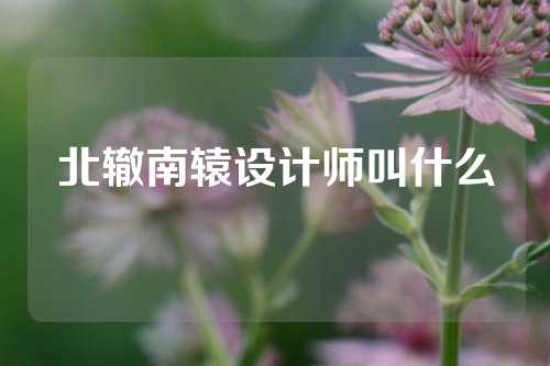 北辙南辕设计师叫什么