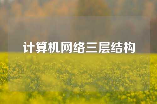 计算机网络三层结构