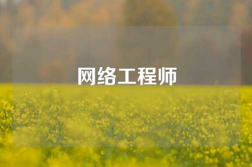 网络工程师