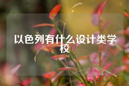 以色列有什么设计类学校