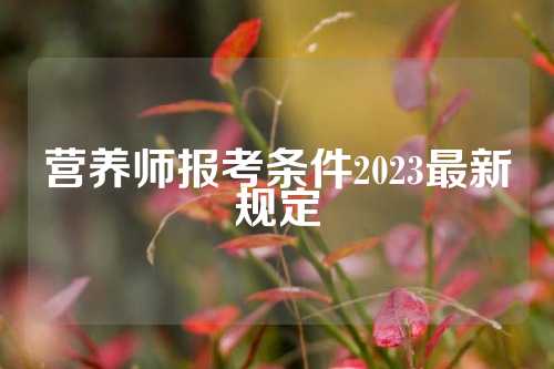 营养师报考条件2023最新规定