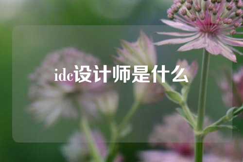 idc设计师是什么