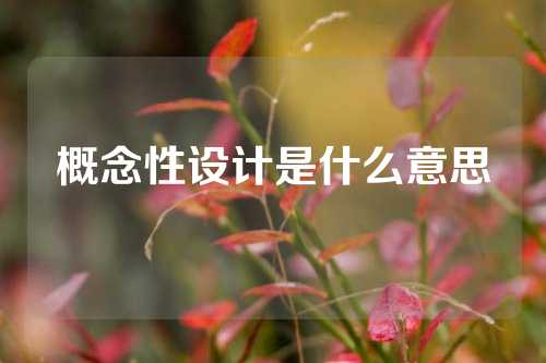 概念性设计是什么意思