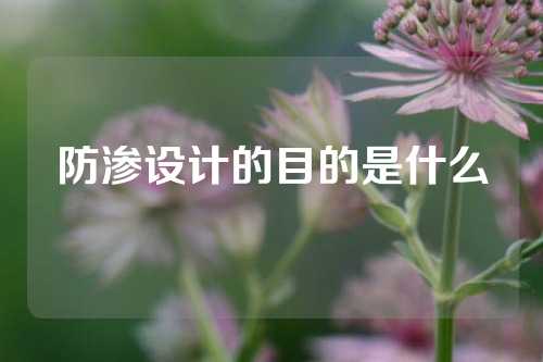 防渗设计的目的是什么