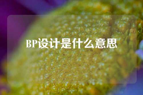 BP设计是什么意思