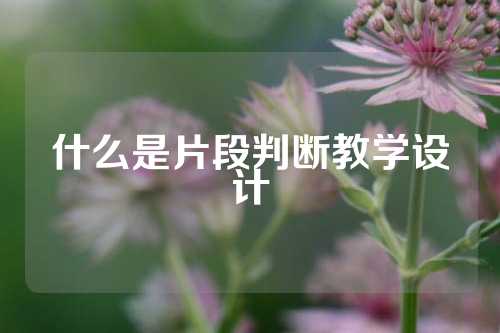 什么是片段判断教学设计