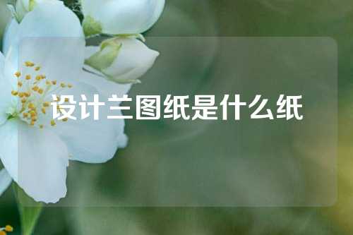 设计兰图纸是什么纸