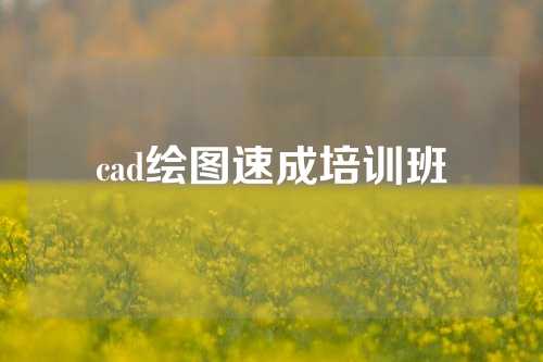 cad绘图速成培训班