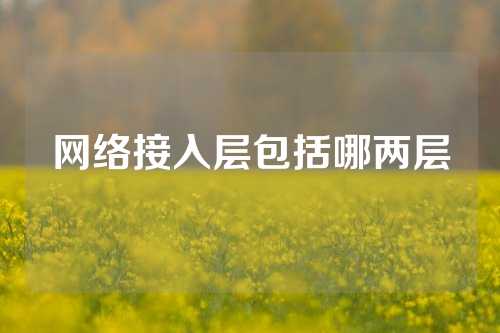 网络接入层包括哪两层