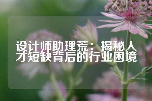设计师助理荒：揭秘人才短缺背后的行业困境