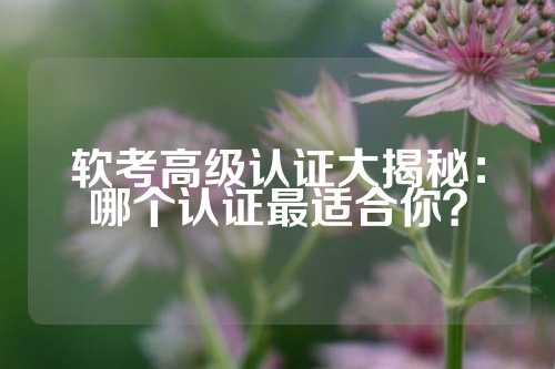 软考高级认证大揭秘:哪个认证最适合你?