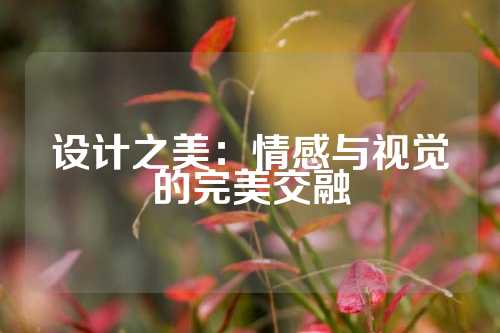 设计之美：情感与视觉的完美交融
