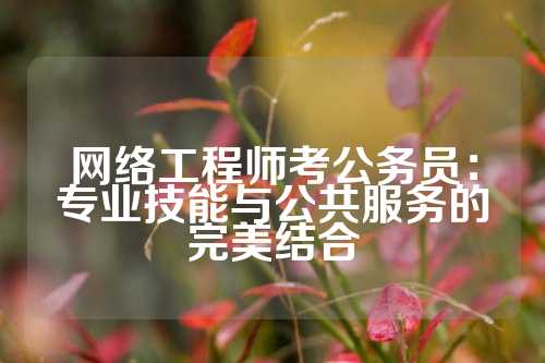 网络工程师考公务员：专业技能与公共服务的完美结合