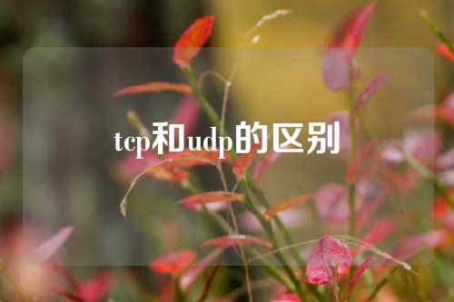 tcp和udp的区别