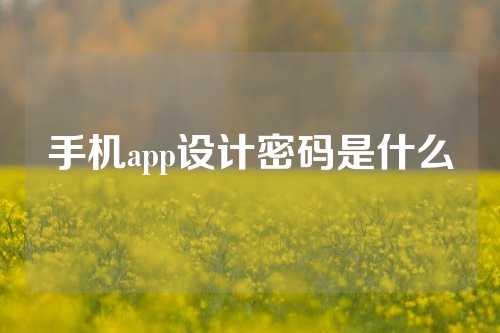 手机app设计密码是什么