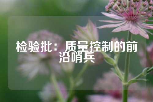 检验批：质量控制的前沿哨兵