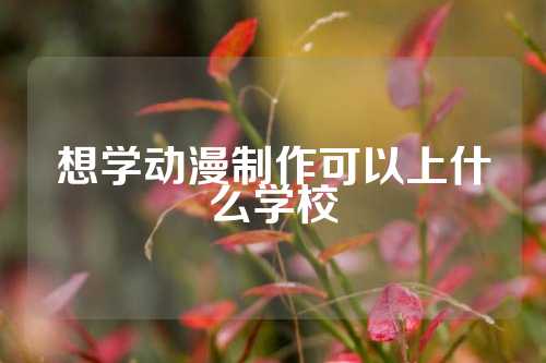 想学动漫制作可以上什么学校
