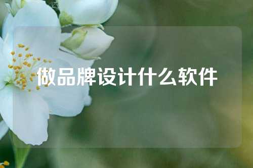 做品牌设计什么软件