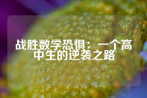 战胜数学恐惧：一个高中生的逆袭之路