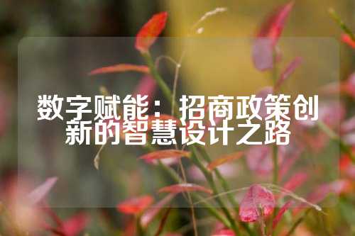 数字赋能：招商政策创新的智慧设计之路