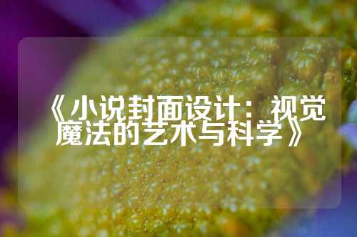 《小说封面设计：视觉魔法的艺术与科学》