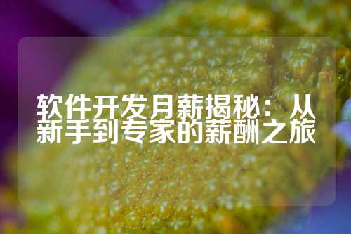 软件开发月薪揭秘：从新手到专家的薪酬之旅