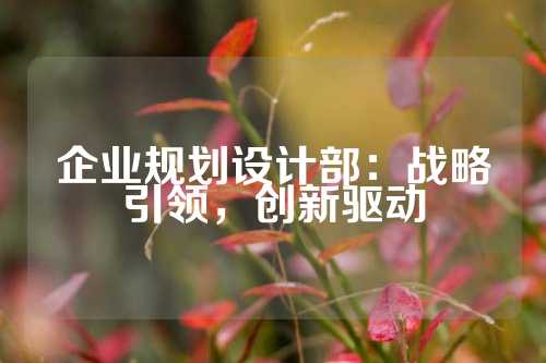 企业规划设计部：战略引领，创新驱动