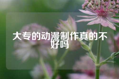 大专的动漫制作真的不好吗