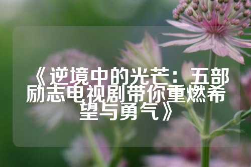 《逆境中的光芒：五部励志电视剧带你重燃希望与勇气》